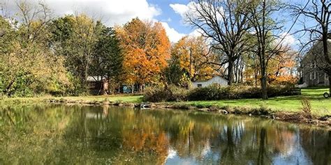 alison ebbert|ebbert spring archaeological preserve.